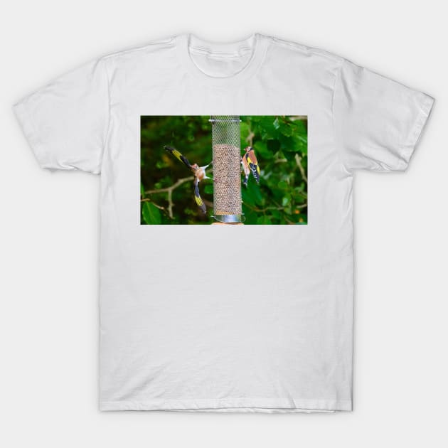 Squabbling Goldfinches T-Shirt by GrahamPrentice